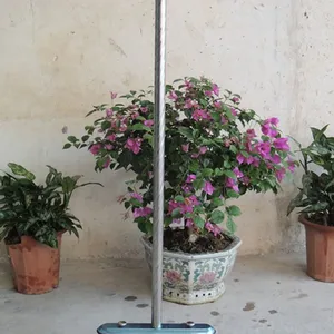 ���ҹ�Ӧ ***�ͱ���100CM�����ɨ�� ɨ�� ����