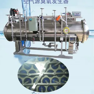 供应天蓝臭氧污水脱色设备TLCF-2-6KG，降COD，脱色，消毒氧化，去异味
