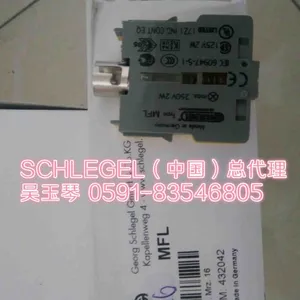 时力高带灯按钮DXRTLSGN+MHR-3