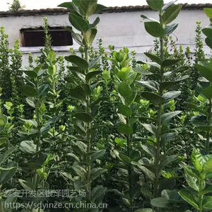 1�ױ���������۸�1.5��2�ױ���������3�ױ���������۸�
