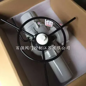 IQ原装进口罗托克电动执行机构