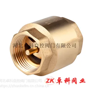黄铜立式止回阀 内螺纹弹簧止回阀 铜芯逆止阀 量大从优河北 卓科 直销