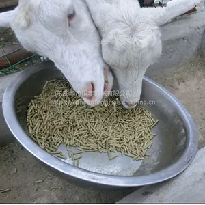 ���ﻨ�������������� ��ֳ�����Ͽ����� ƽ��ģ���Ͽ���������