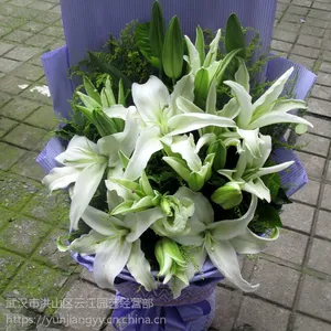 武汉鲜花绿植百合花,单朵百合鲜花3.3元,武汉同城送货,当天到