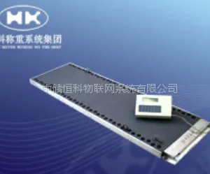 恒科弯板式称重系统