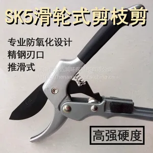 ��֦�� ֲ��걾ȡ������ �ǿ�����