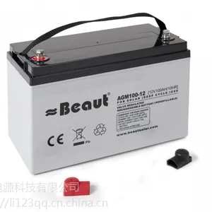 BEAUT免维护蓄电池 报价