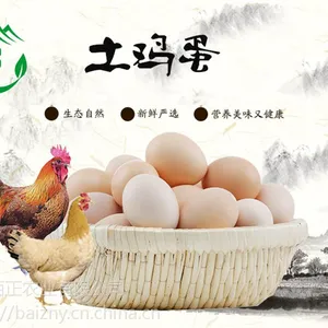 正宗土鸡蛋 生态养殖 清澈粘稠 营养丰富