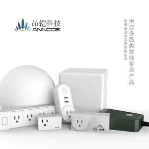 智能Wifi插座与Amazon Alexa和Google Home一起使用用于智能家居