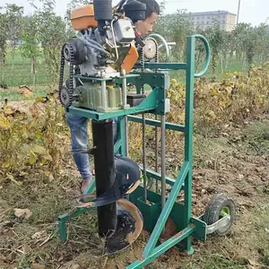 ���Ͷ���̵�������� ����ֲ���ڿӻ� ֲ�����ۻ�Ʒ��