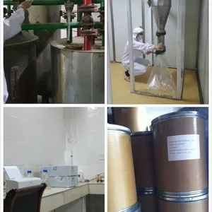 杭州绿想生物技术有限公司