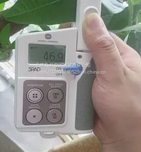 叶绿素含量测定仪/SPAD-502