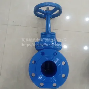 精航宇销售明杆弹性座封闸阀 DN50 球墨铸铁 法兰连接 精航宇铸业 软密封闸阀