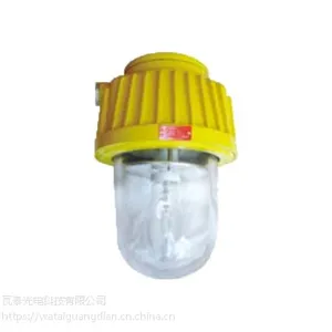 BPC8730/BPC8730瓦泰防爆平台灯