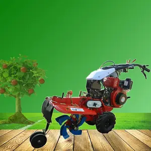 ���Ͷ๦��С�������� ���������߲˿����� �����������������