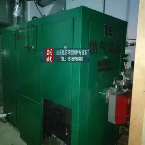 阳光锅炉,天然气锅炉,燃煤燃气双燃料环保锅炉浴池锅炉