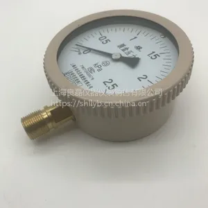 供应膜盒压力表