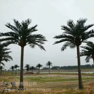 雅菲仿真椰子树 造型尺寸可定制