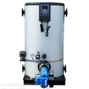 燃油燃气热水锅炉 燃气锅炉 燃油锅炉 热水取暖锅炉 劳士特锅炉 生物质锅炉