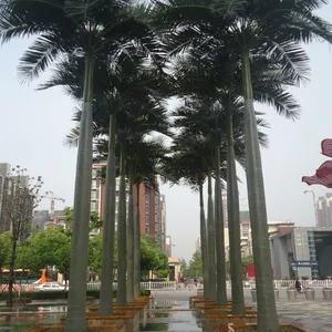 东莞雅菲仿真树厂家 仿真大王椰 美化环境 园林绿化假椰子树批发
