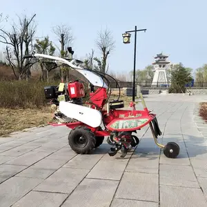 ũ�ò��ʹ�д󽪿�����־�ɴ�����ֲ��¢��