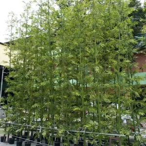 仿真竹子批发 尺寸可定做