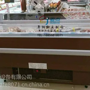 沃尔玛超市冷冻柜 肉类食品储存柜 徽点厂家定做