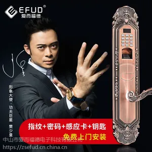 EFUD 别墅专用智能指纹锁 别墅电子锁 欧式智能防盗锁 双开门锁 居家用锁
