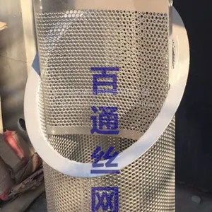 百通厂家来样定做各行业设备用冲孔网滤芯bt009 冲孔网滤筒 提篮式过滤筒