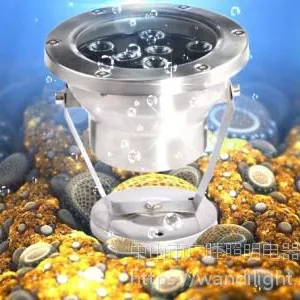 ��Ӧled�����ˮ�µ� �㳡ˮ�� led��ˮ�� ����ﾰ������