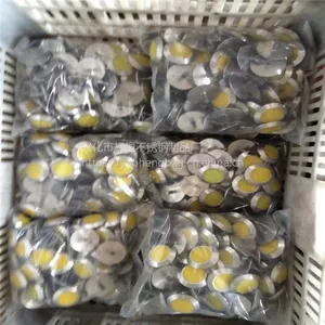 耀恒 长期供应 304不锈钢盲道钉 彩色地面止步钉 镶塑防滑钉 盲道设施