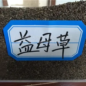 益母草种子批发@益母草亩产效益多少