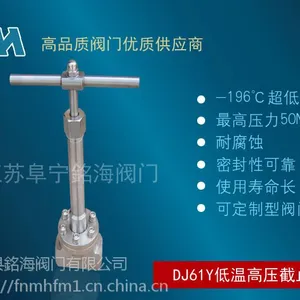 低温截止阀|江苏DJ61Y不锈钢低温高压截止阀