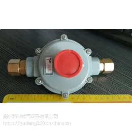 溆浦县燃气调压器中压进户带接头RTZ润丰
