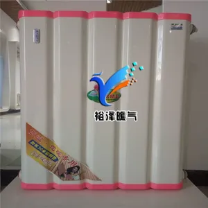 ����ֱ����ˮʽů�������� ***��ˮʽů��������