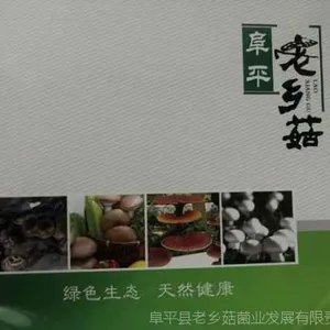 阜平老乡菇批发