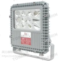 BC9101LED防爆泛光灯