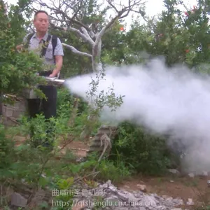 福建果园打药机 小型背负式弥雾机 圣鲁牌喷雾器