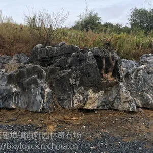 江苏窟窿石,大型窟窿石,大型太湖石,景观石