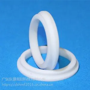 广东省东晟密封组合防尘圈密封DSZ密封圈厂家批发