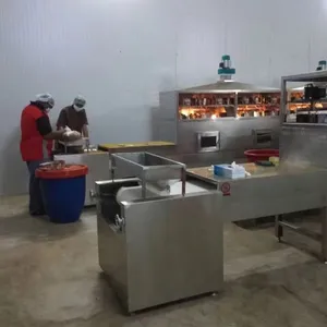 调料微波烘干灭菌机