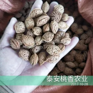 桃胡，山东桃胡价格基地