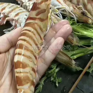 竹节虾/斑节虾/九节虾/野生海捕/2条-10条每盒/好这味品牌