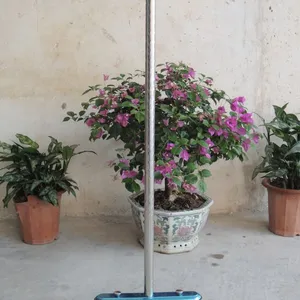 ���ҹ�Ӧ ***�ͱ���100CM�����ɨ�� ɨ�� ����