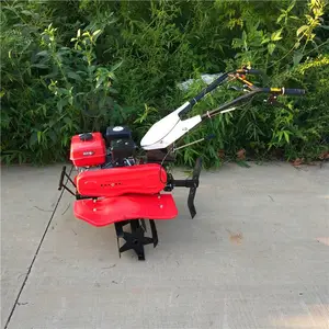��԰���������� ���ʹ���ר�������� �ַ���