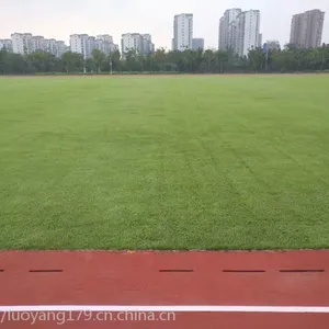 ���ϳ�ɳ���򳡶���ʲô��Ƥ���۸���˵��Ҫ����Ǯ��