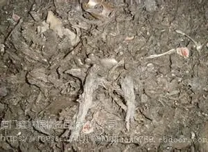 �����������վ������������������գ����������Ǧ����