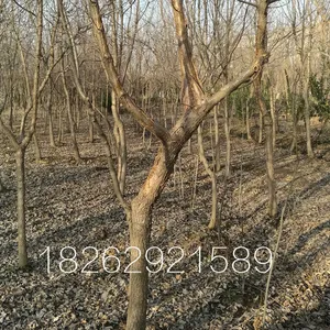 11�����͸���*** 2018����������������� ���� 1500�÷�����