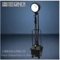 BBI-BF669B 升降式防爆工作灯