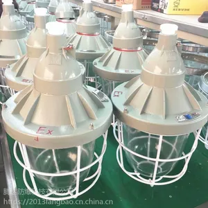 防爆吸顶式防爆灯BAD51-L100/220V 金卤灯100W腾达批发